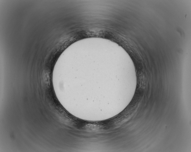 X0000111430699200908101116