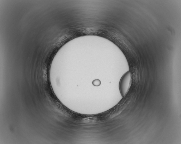 X0000111430700200908101116