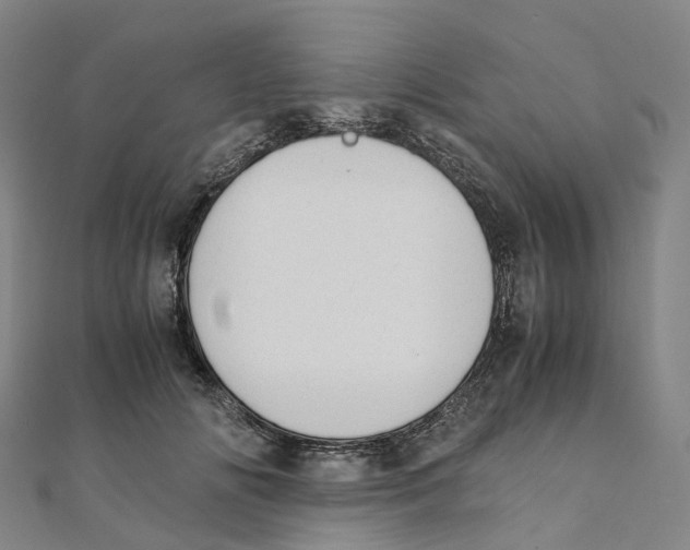 X0000111430702200908101116