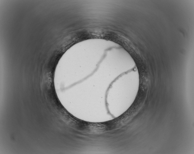 X0000111430707200908101116