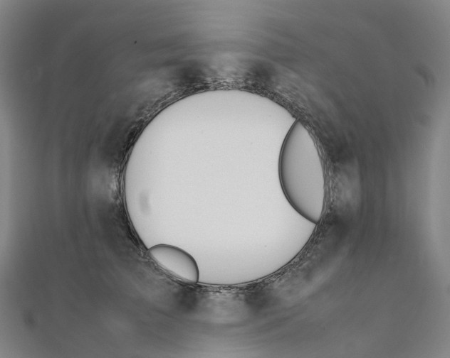 X0000111430709200908101116
