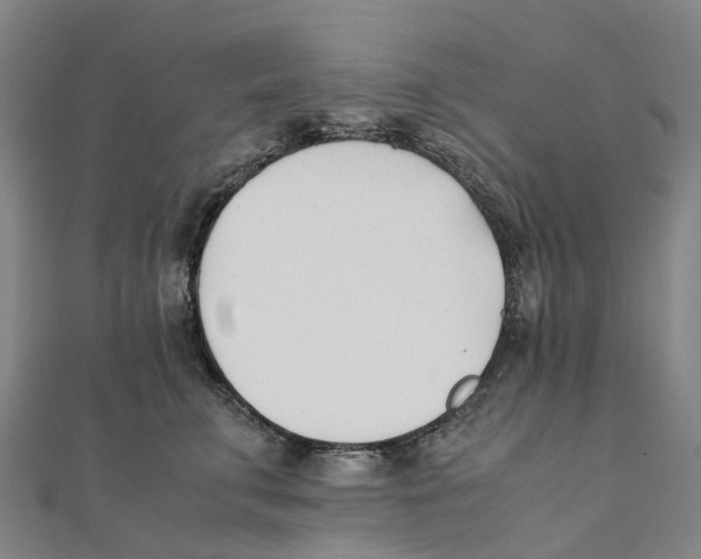 X0000111430711200908101116