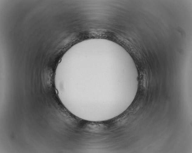 X0000111430712200908101116
