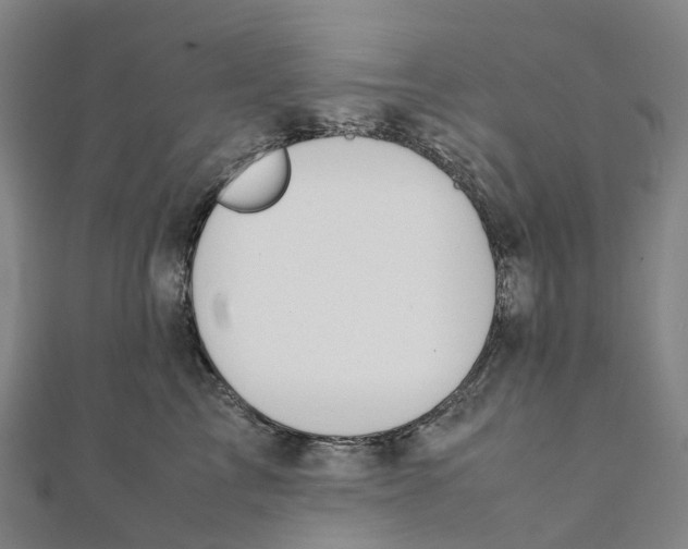 X0000111430713200908101116