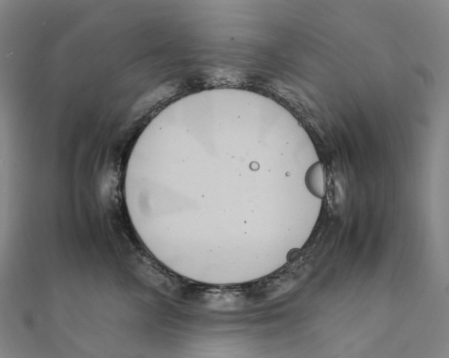 X0000111430714200908101116