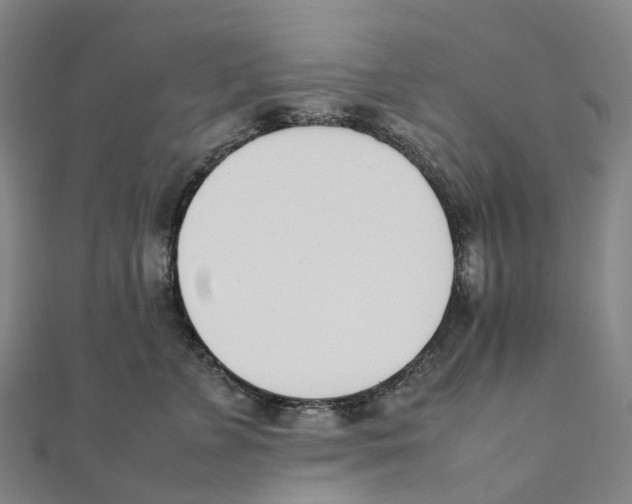 X0000111430715200908101116