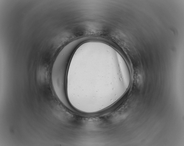 X0000111430716200908101116