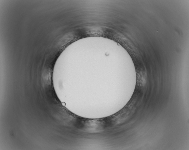 X0000111430717200908101116