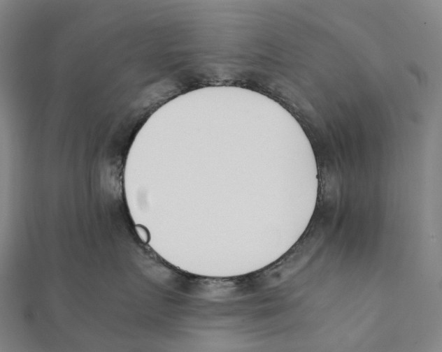 X0000111430719200908101116