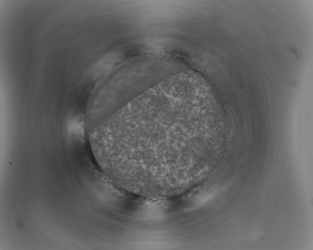 X0000111430720200908101116