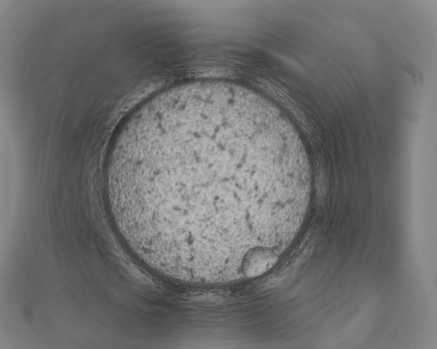 X0000111430721200908101115