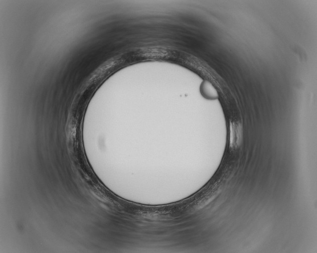 X0000111430723200908101115