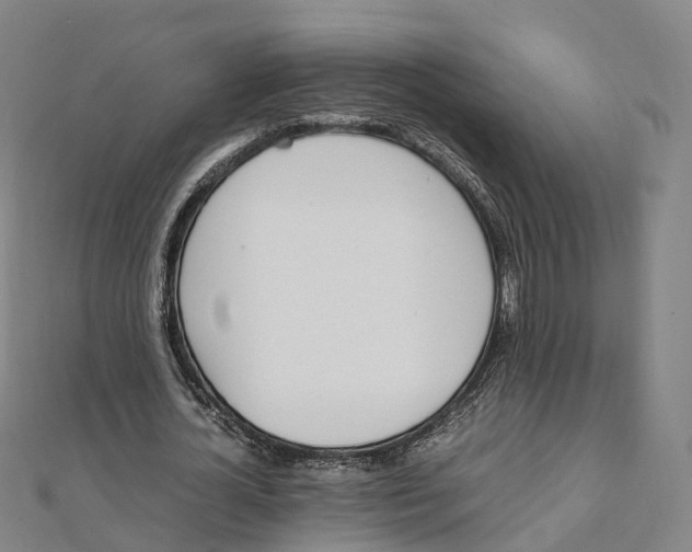 X0000111430724200908101115