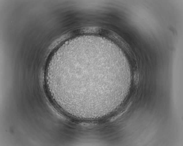 X0000111430725200908101115