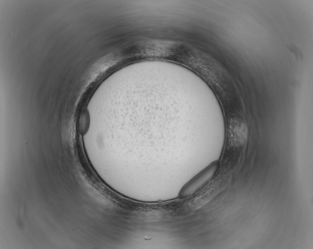X0000111430726200908101115