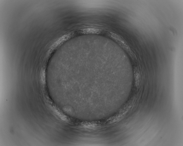 X0000111430729200908101115