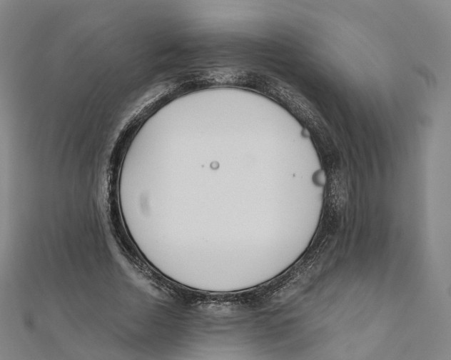 X0000111430730200908101115
