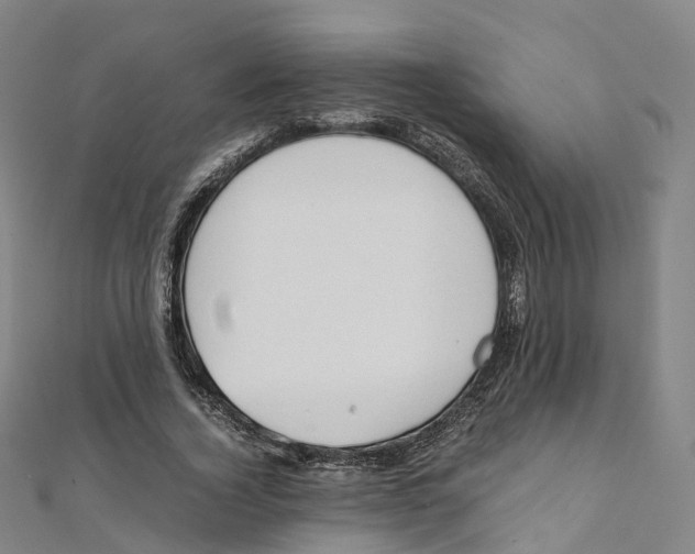 X0000111430732200908101115