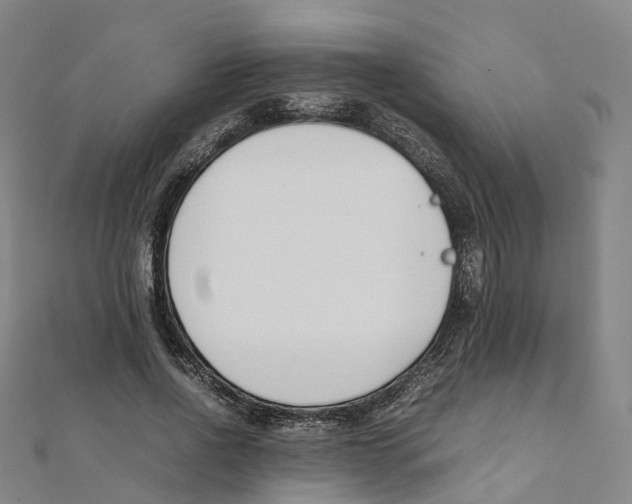 X0000111430734200908101115