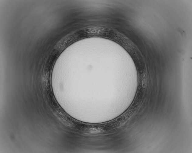 X0000111430737200908101115