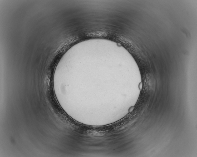 X0000111430739200908101115
