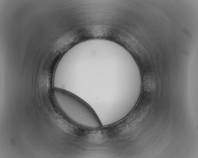 X0000111430740200908101115