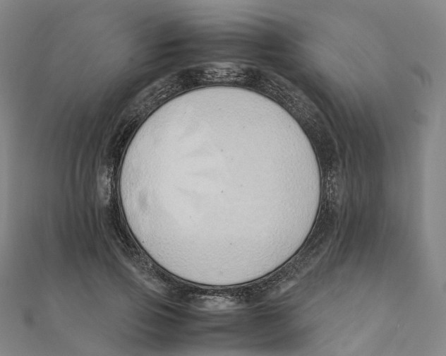 X0000111430741200908101115