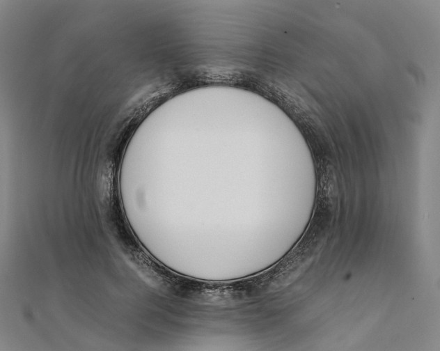 X0000111430744200908101115