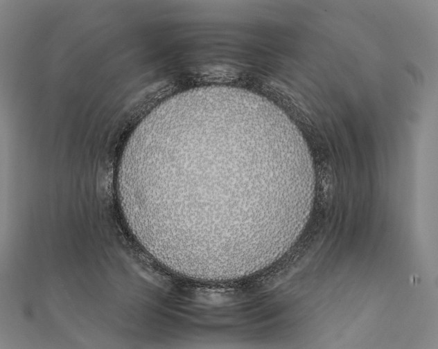 X0000111430745200908101115