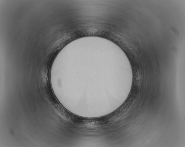 X0000111430746200908101115