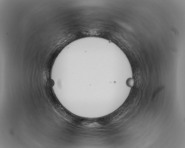 X0000111430747200908101115