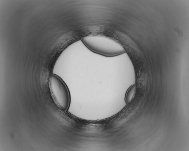X0000111430748200908101115