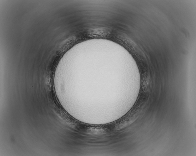 X0000111430749200908101115