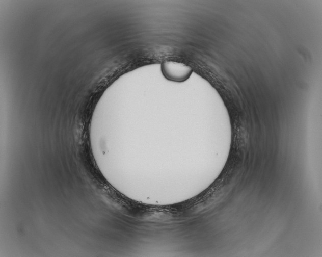 X0000111430750200908101116
