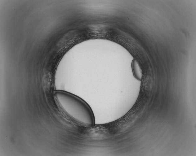 X0000111430752200908101116