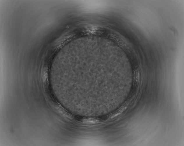 X0000111430754200908101116