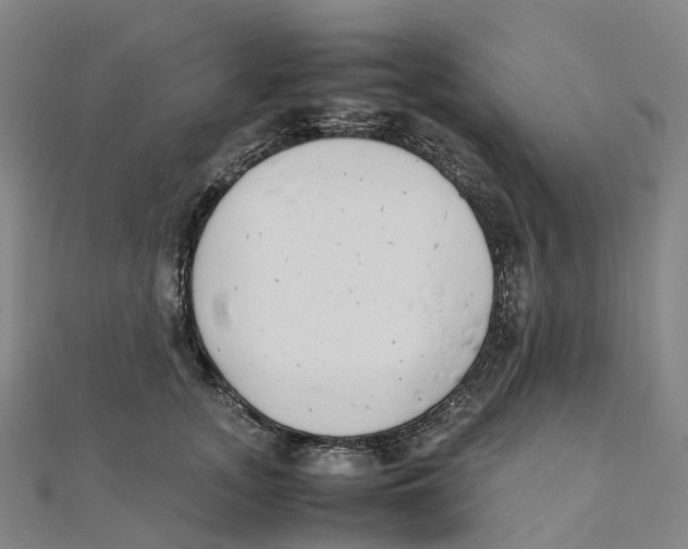 X0000111430755200908101116