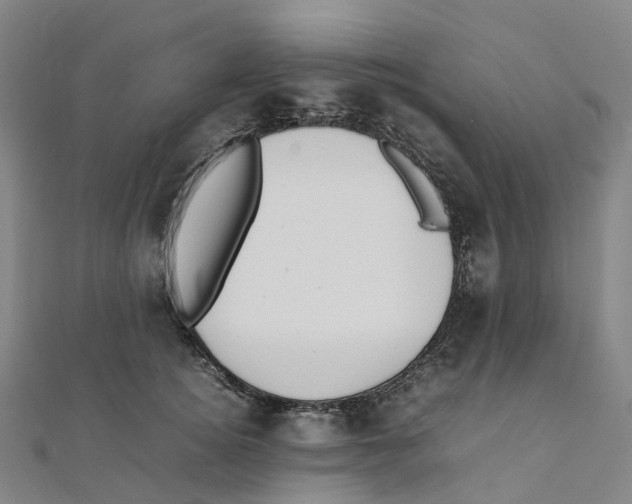 X0000111430756200908101116