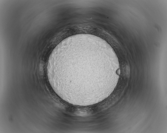 X0000111430757200908101116