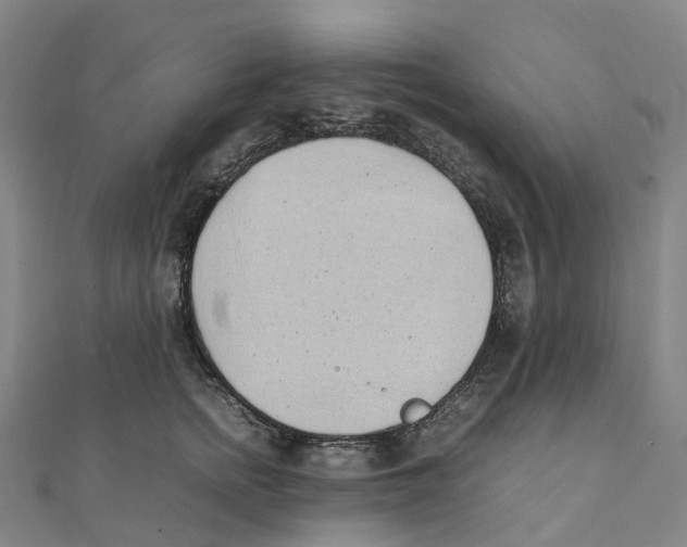 X0000111430758200908101116