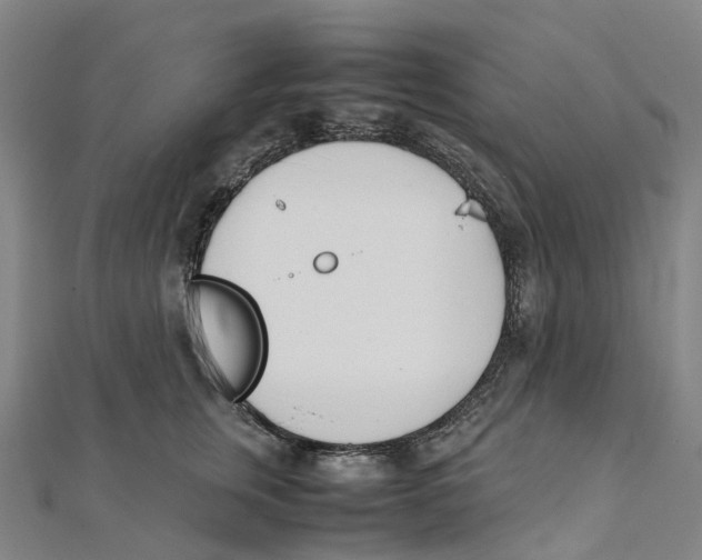 X0000111430759200908101116