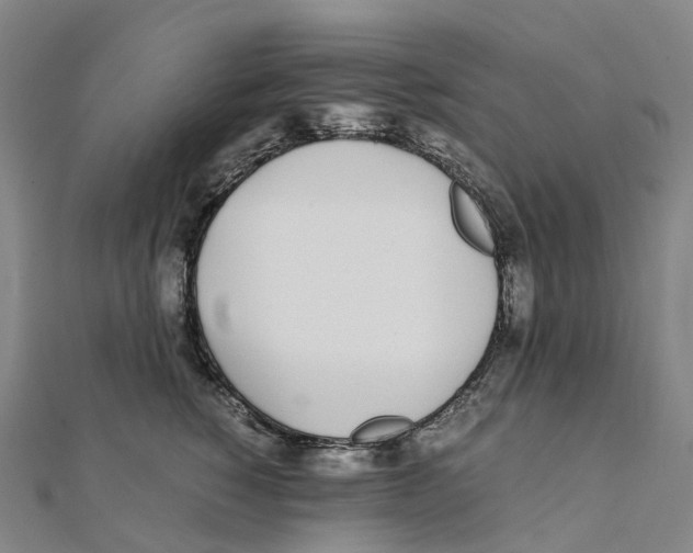 X0000111430760200908101116