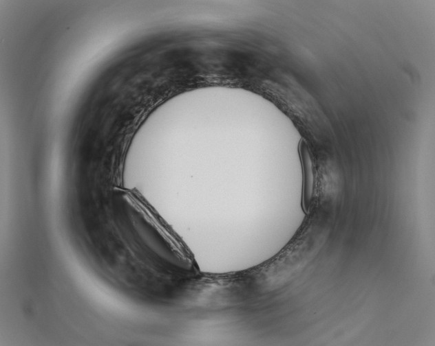 X0000111430764200908101116
