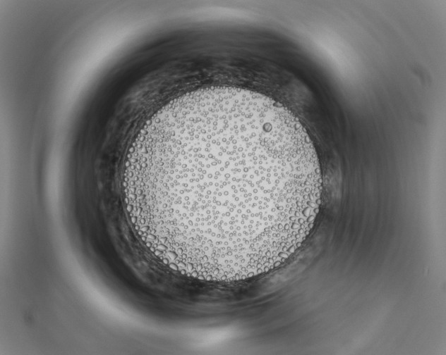 X0000111430765200908101116
