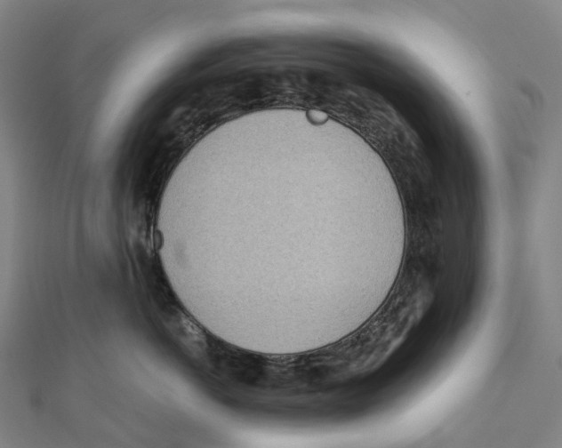 X0000111430766200908101116