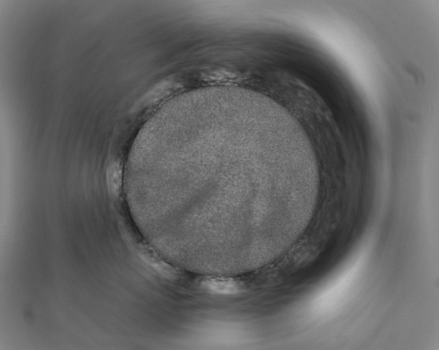 X0000111430767200908101116