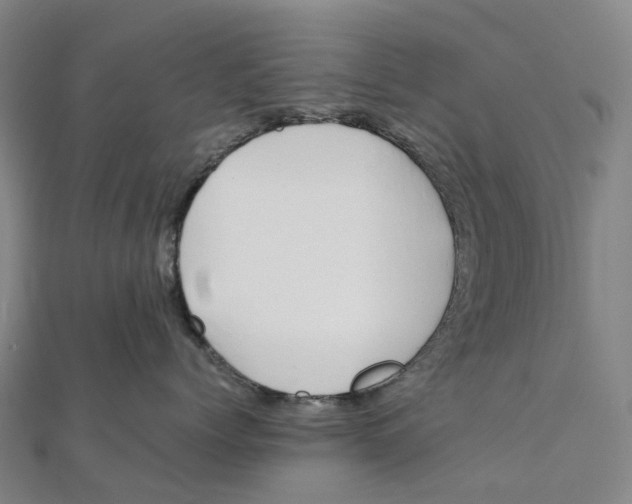 X0000111430768200908101116