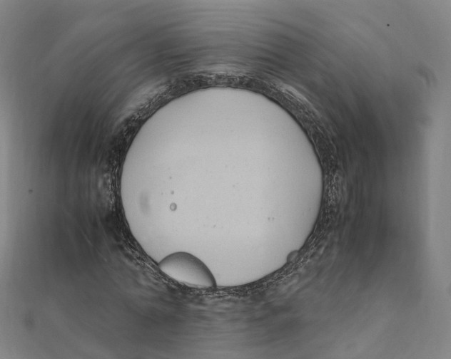 X0000111430774200908101115