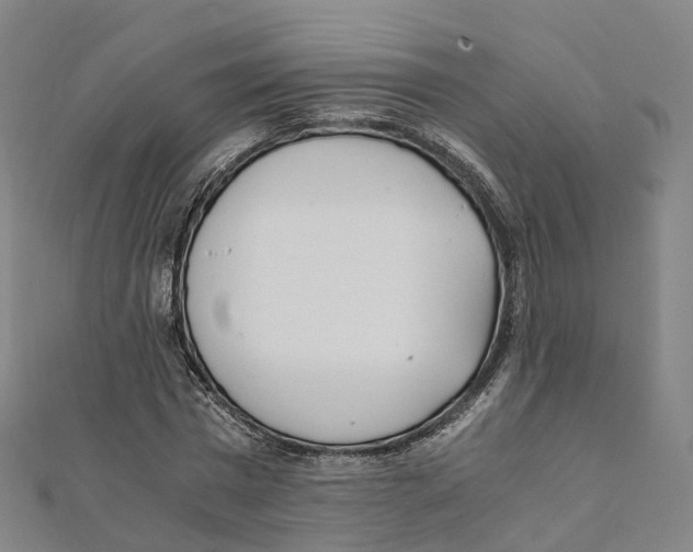 X0000111430777200908101115