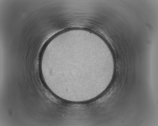 X0000111430779200908101115